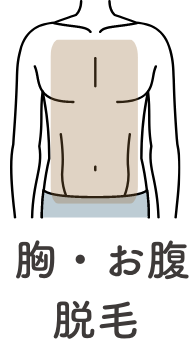 胸・お腹脱毛