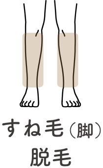 すね毛（脚）脱毛