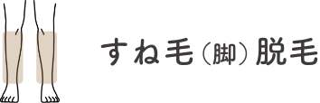 すね毛（脚）脱毛